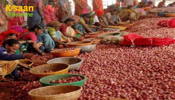 सरकार द्वारा निर्यात प्रतिबंध में ढील देने के बाद प्याज की कीमतों में 28 प्रतिशत की वृद्धि हुई सरकार द्वारा निर्यात प्रतिबंध में ढील देने के बाद प्याज की कीमतों में 28 प्रतिशत की वृद्धि हुई